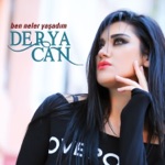 Seni Sevdim Ne Yapayim