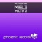 The Last One (Extended Mix) - Meli & Paul Miller lyrics