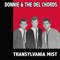 Out of Sight, Out of Mind - Donnie & The Del Chords lyrics