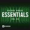 Future House Essentials, Vol. 04, 2017