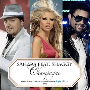Sahara - Champagne (feat. Shaggy) (Balkan RMX Radio Version) - 排舞 音樂