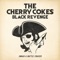 Blaze of Glory - THE CHERRY COKE$ lyrics