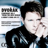 Dvořák: Symphony No. 9 in E Minor, Op. 95 "From the New World" & A Hero's Song, Op. 111 artwork