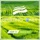 Syntouch & Angel Falls-Alone (Plutian Dub Mix) Syntouch & Angel Falls-Alone (Plutian Dub Mix)