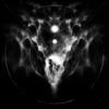Shane Fontane - Shadowy Things