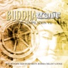 Buddhatronic - The Compilation, Vol. II (Best of Mystic Bar Sound Meets Buddha Chill Out Lounge)
