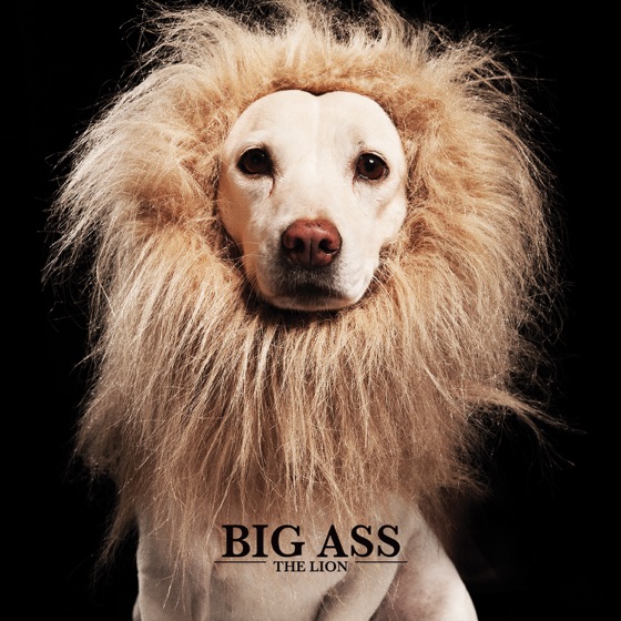 Cover artwork for เชิดสิงโต