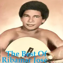 The Best Of - Ribamar Jose