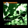 Brahms String Quartets  Clarinet Quintet