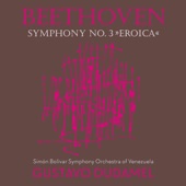 Symphony No. 3 in E-Flat Major, Op. 55 "Eroica": IV. Finale. Allegro molto artwork