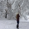 Madison McCann - Let It Snow, Let It Snow, Let It Snow, Let It Snow!