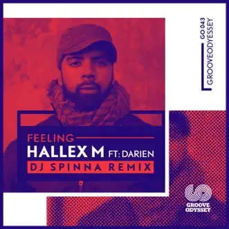 Feeling (feat. Darien Dean) [DJ Spinna Galactic Soul Remix] by Hallex M song reviws