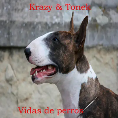 Vidas De Perros - Single - Krvzy