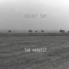 The Harvest, 2017