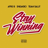 Stay Winning (CassKidd Remix) artwork