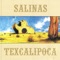 Adyos y Suerte - Salinas lyrics