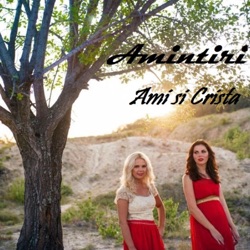 Ami Si Crista - De Ziua Ta