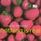 Marino Formenti - Nothing Is Real (Strawberry Fields Forever) (1991)