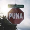 Puna - Positive Motion lyrics