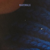 Mars Walk artwork