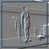 Proportions - Single