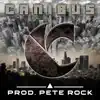 Princibly THIS (feat. Canibus) - Single album lyrics, reviews, download