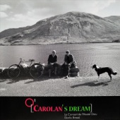 Carolan's Dream / Eleanor Plunkett artwork