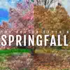 Springfall album lyrics, reviews, download
