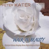 Walk In Beauty - Healing Series, Vol. 4