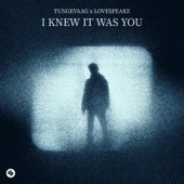 I Knew It Was You artwork