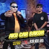 Aku Cah Bakoh (feat. PJR NDX AKA) artwork