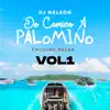 De Camino A Palomino, Vol. 1 album lyrics, reviews, download
