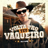 Volta Pro Teu Vaqueiro artwork