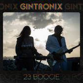 23 Boogie - Gintronix