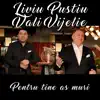 Pentru tine as muri (feat. Vali Vijelie) - Single album lyrics, reviews, download