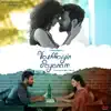 Penne Penne (From "Vazhkaiyin Payanam") - Single album lyrics, reviews, download