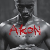 Miss Melody (feat. Akon) artwork