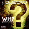 Why (Remix) - Single