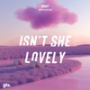 Isn't She Lovely - Single