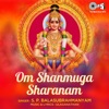SP Balasubramaniam - Arulmlgu Aarumugane