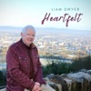 Liam Dwyer - Sliabh Na Mban