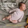 The Little Turtle, Natural Sleep Underwater song lyrics