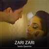 Zari Zari - Single