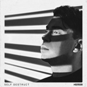 Self Destruct artwork