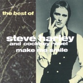 Steve Harley & Cockney Rebel - Make Me Smile (Come up and See Me)