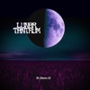 Mr Phoenix - Single