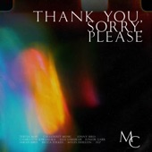 Thank You, Sorry, Please (feat. Becca Folkes, Charlotte Kiwanuka & Elle Limebear) artwork