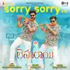 Sorry Sorry (From "Leharaayi") [Original Motion Picture Soundtrack] - Single album lyrics, reviews, download