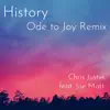 History (feat. Joe Matt) [Ode to Joy Remix] - Single album lyrics, reviews, download