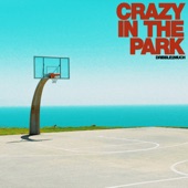 Crazy In The Park artwork